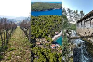 Prodaja imanja: Slavonski voćnjaci, mlin uz Koranu i maslinici na jugu