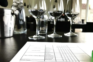 Cvit razgovora - kujundžuša wine festival 2019. u Imotskom