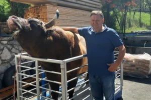 Medonja po slavi "parira Sušiću", tražen do Japana i nitko ga ne može kupiti