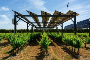 Rotirajući solarni paneli štite vinograde u Francuskoj