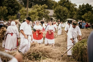 "Kruh naš svagdašnji - Žetva i vršidba u prošlosti" već tradicionalno zove u Županju