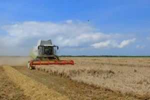 Krenuo otkup pšenice, cijena od 0,90 do 1,30 kuna za kilogram