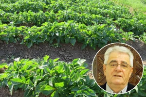 Tjedna akumulacija topline bit će veća od prosjeka i za 30 posto, stiže li još kiše?