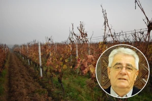 Blagdan svetog Martina treba dostojno proslaviti, kakvo nas vrijeme očekuje?