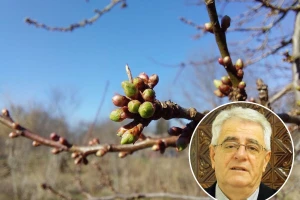 Topla veljača - hladan ožujak?