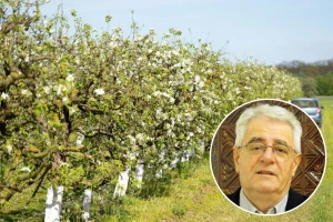 Nakon iznadprosječno toplog vremena, dolazi osjetno zahladnjenje i - mraz