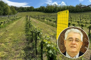 Oprez jer mraza ovaj tjedan još može biti, ali veseli dolazak suhih, sunčanih i toplijih dana