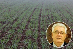 Oborine se ne očekuju, ali ponedjeljak donosi zahlađenje u cijeloj zemlji
