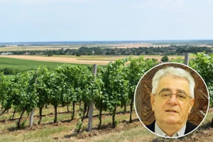 Jakov kuri, Ana žari - slijedi epizoda suhih, sunčanih i vrlo vrućih dana