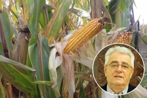 Nakon oborina uskoro slijede suhi, ali ne odveć topli dani