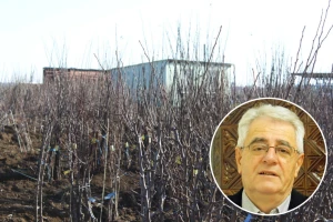 Požurite s planiranim, oborine će zaustaviti poljoprivredne radove