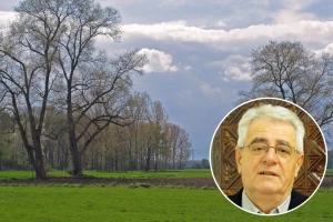 Kad u travnju kiša pada, tko se dobru da ne nada