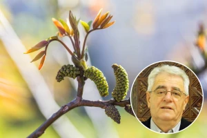 Orah je prolistao - sjetva kukuruza može početi