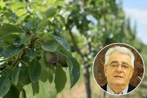 Požurite s radovima jer stiže promjena vremena