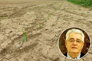 Sijanja Sunca idućih će dana biti vrlo malo, a kiše?