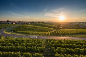 Agrokor osvaja i baranjsko turističko tržište