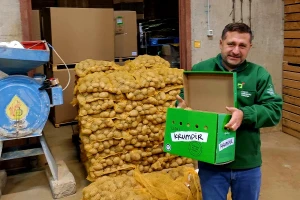 Suša smanjila i prinos ličkog krumpira, cijena mu gotovo udvostručena?