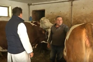Zima im nije problem, cijena mlijeka je!