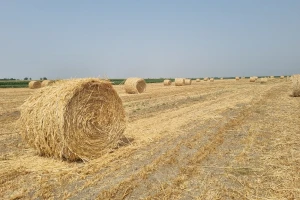 Osam godina u EU: U poljoprivredu uložene 33 milijarde kuna, a proizvodnja manja nego 2012.