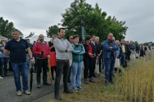 Dan polja Bc Instituta: Bogatoj paleti vrhunskih pšenica dodana sorta BC Mistika
