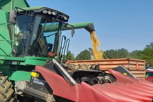 U teškoj godini za kukuruz BC hibridi nisu iznevjerili - imamo rezultate vaganja
