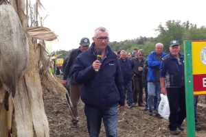 Unatoč suši prinos BC 323 hibrida 10,8 t/ha kukuruza!