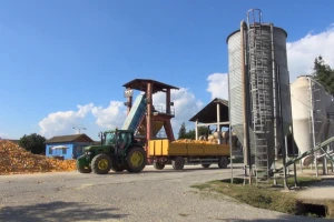 Troškovi sušenja kukuruza nekad prepolove zaradu