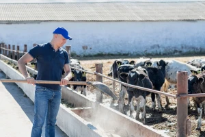 1,9 milijuna kuna za sufinanciranje rada uzgojnih udruženja u stočarstvu