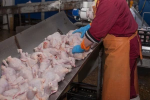 Zbrinjavanje nusproizvoda životinjskog podrijetla: Podnošenje zahtjeva za potporu