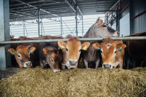 Pametna staja: Prima do 80 posto više sunčeve energije