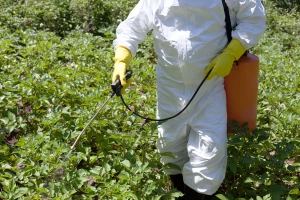 Europol: Zaplijenjeni ilegalni pesticidi u vrijednosti 80 milijuna eura
