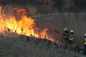 Spaljivao suhu travu pa pčelaru spalio košnice! 