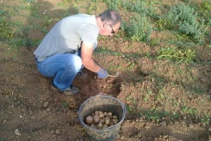 Upotreba biodinamičkih metoda u poljoprivredi