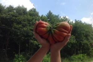 Kupuj od susjeda!