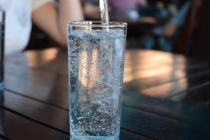 Prijedlog pravilnika o prirodnim mineralnim, prirodnim izvorskim i stolnim vodama