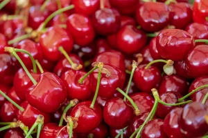 U BiH zabranjen uvoz 11.250 kg višnje iz Hrvatske
