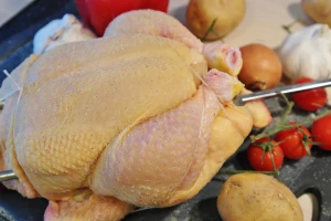 Salmonela u pilećim prsima iz domaćeg uzgoja