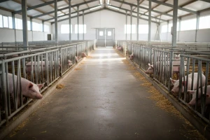 Čobanković otvara novi objekt Agro-Promesa