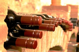 Kako pravilno označiti vino sorte Teran?