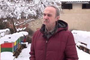 Damir Sertić: Otvarajte košnice na kratko, samo ako je potrebna hitna intervencija