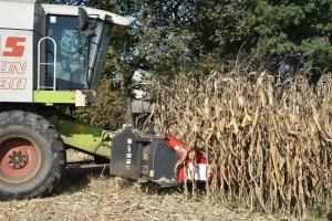 Dan polja RWA kukuruza: Godina sušna, ali prosjek prinosa 13 t/ha
