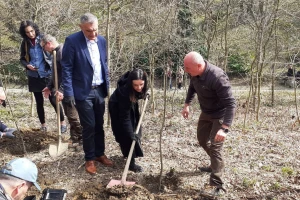 U očuvanje šuma uložit će se gotovo 82 milijuna eura