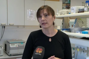 Veliki postotak tla je u izrazito lošem stanju, krajnje je vrijeme za zaštitu