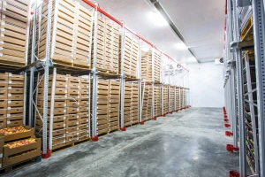 Gradit će se 20 hladnjača za jabuke te drugo voće i povrće!