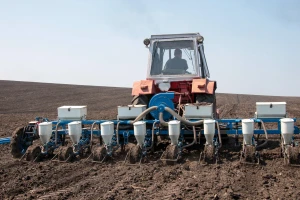 Ne ponavljati greške kod sjetve suncokreta: Pričekati pravu temperaturu tla