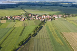 Otimanje zemlje i prevare u EU - na sceni brojne kriminalne prakse?