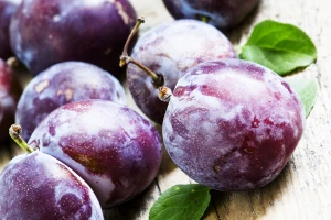 Što sa šljivama nakon berbe? Prije svega, što prije ih ohladite