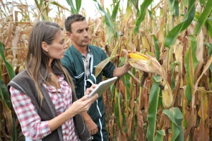 Tko su ovlašteni agronomi i zašto su nam potrebni?