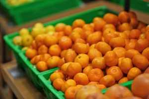 Ministrica Vučković održala sastanak s otkupljivačima mandarina