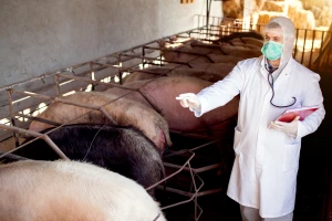 Kreću veterinarski pregledi na gospodarstvima - za to osigurano 15 milijuna kuna
